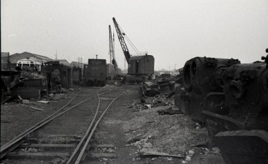 Z37957 - 29.181 - Antwerpen-Zuid - L. OOVAERTS, collection Thierri HEYLEN.jpg